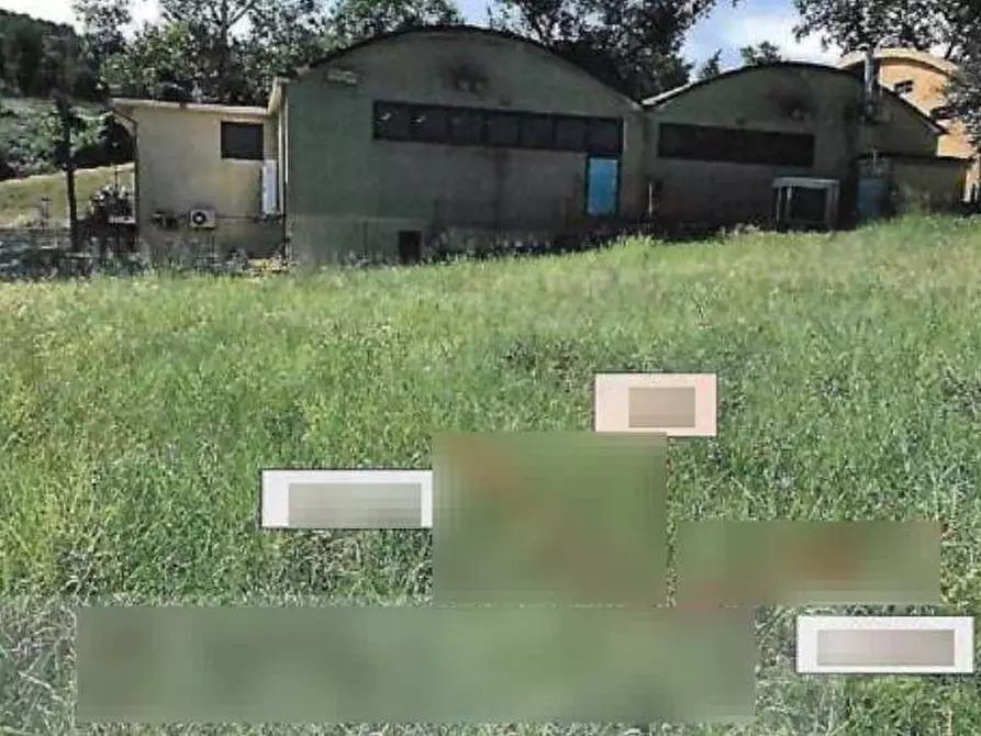 Immagine 15 di Terreno agricolo in vendita  in Via Risara a Montelabbate