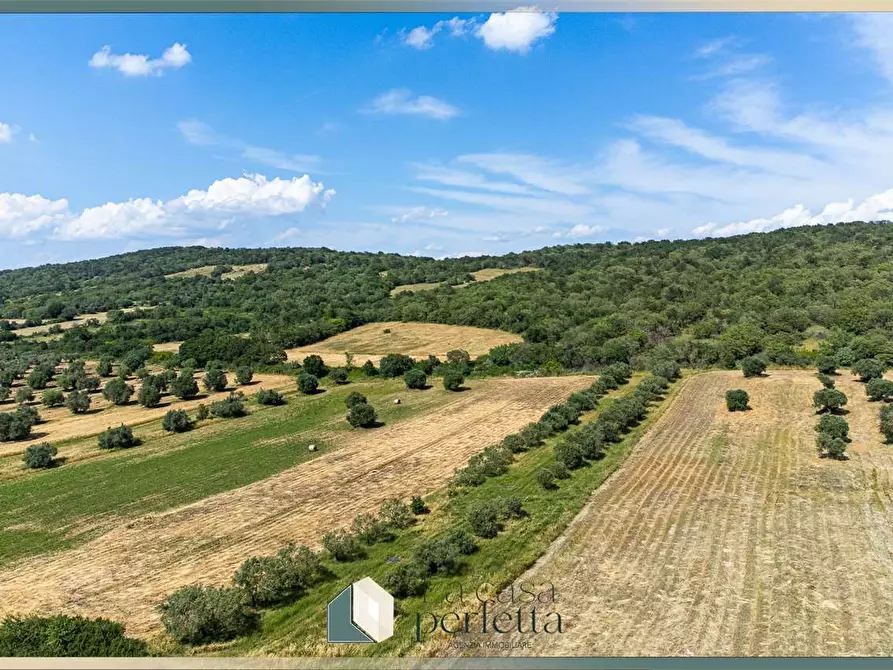 terreno agricolo in vendita a Monte Romano