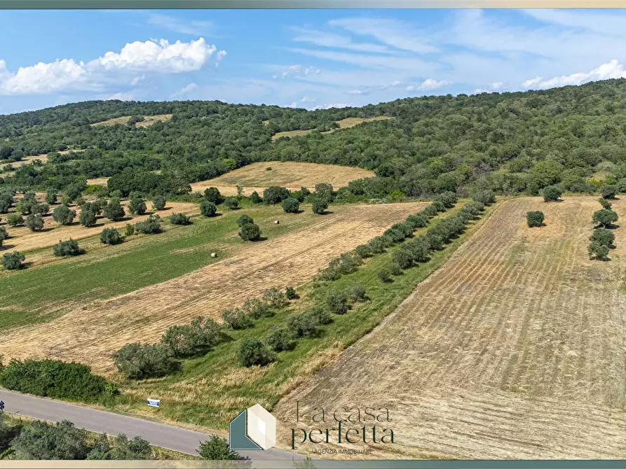 terreno agricolo in vendita a Monte Romano