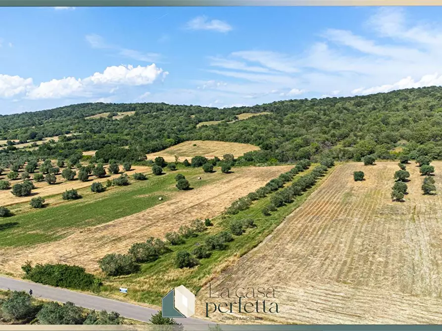 Immagine 6 di Terreno agricolo in vendita  in Strada Blerana snc a Monte Romano