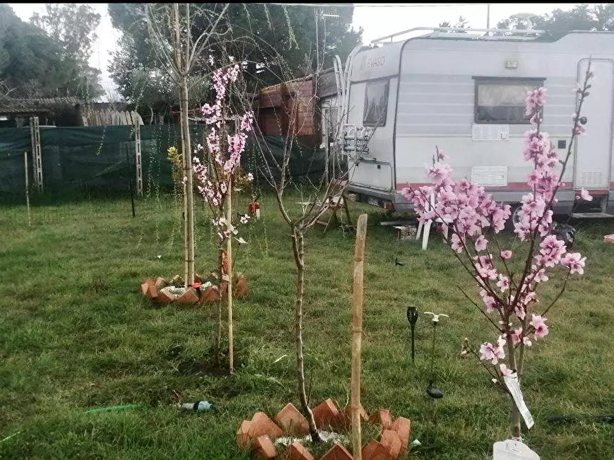 Immagine 1 di Terreno agricolo in vendita  a Tarquinia