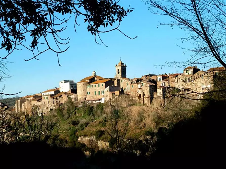 Immagine 30 di Appartamento in vendita  in Via G.Garibaldi 10 a Blera