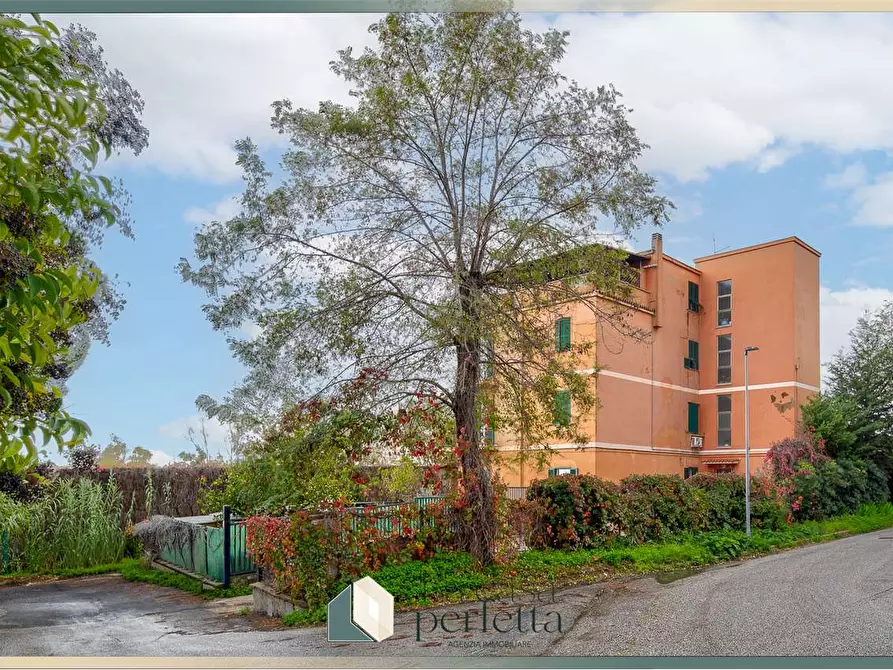 Immagine 1 di Appartamento in vendita  in Via Valdambrini 56 a Santa Marinella