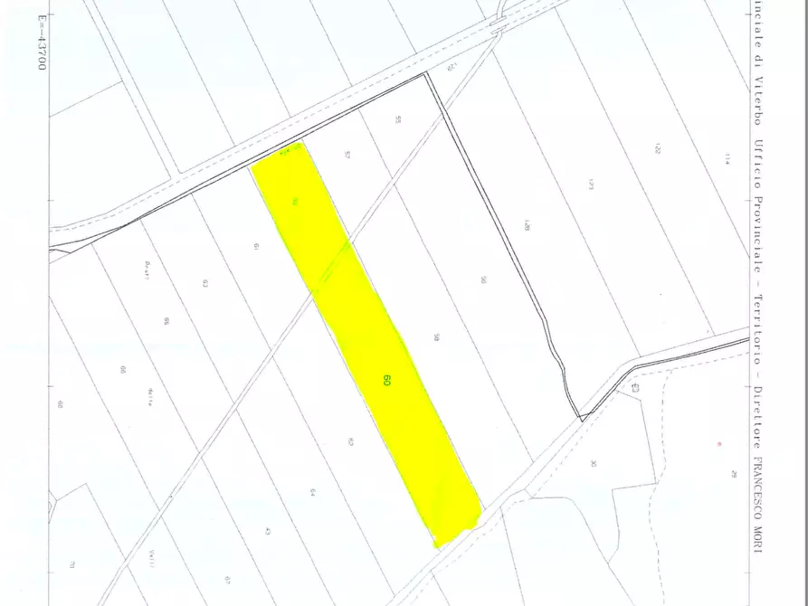Immagine 17 di Terreno agricolo in vendita  in Strada Blerana snc a Monte Romano