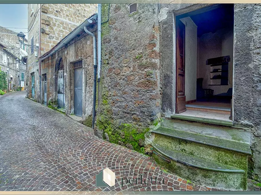 Immagine 18 di Magazzino in vendita  in Via Giorgina 81 a Blera