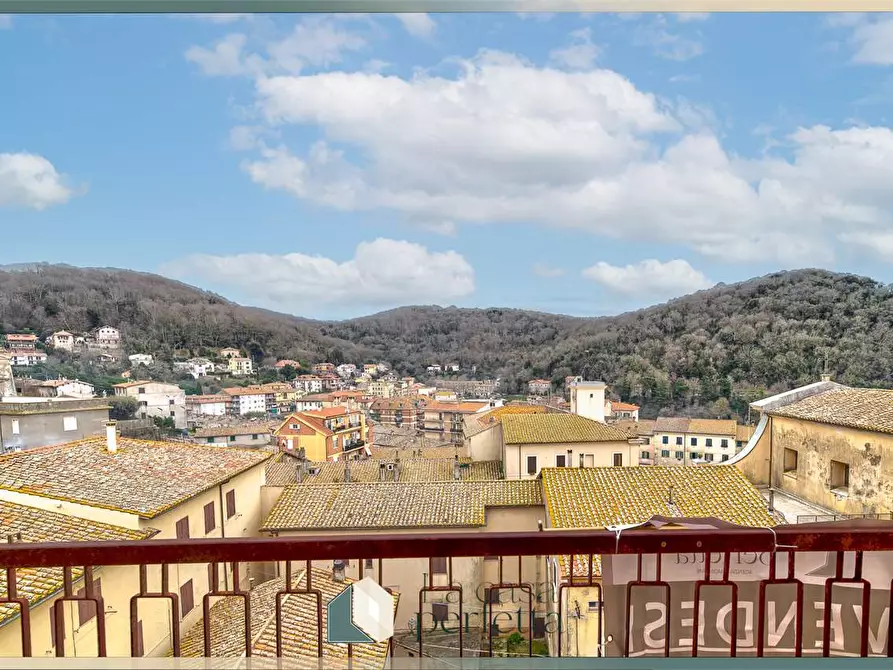 Immagine 3 di Appartamento in vendita  in Via San Pietro  10 a Allumiere