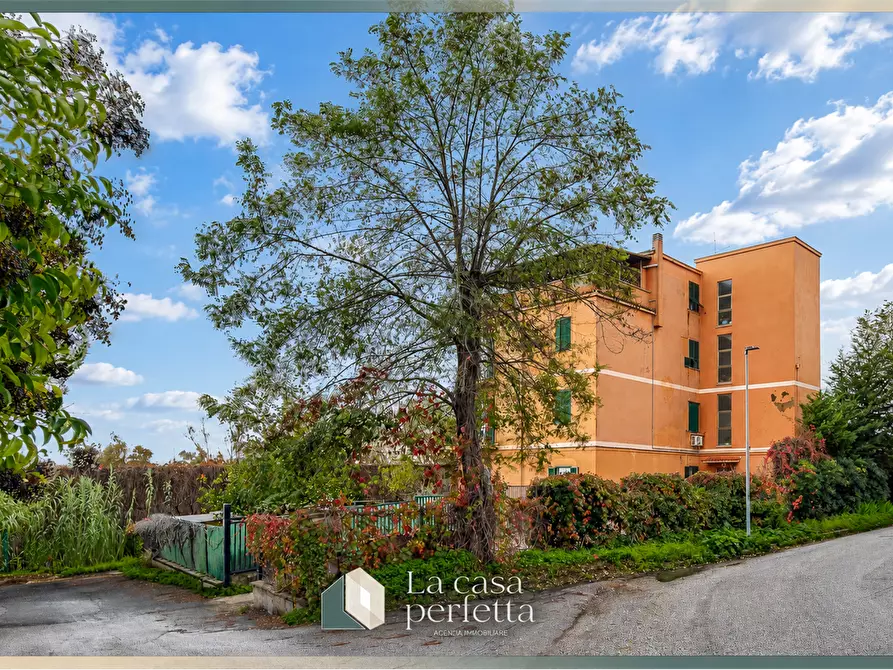 Immagine 22 di Appartamento in vendita  in Via Valdambrini 56 a Santa Marinella