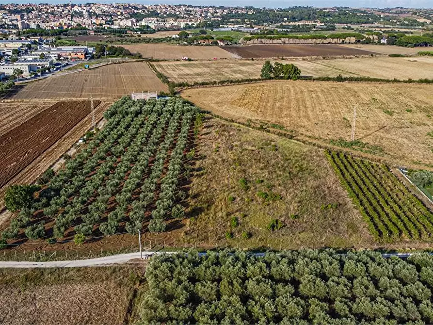Immagine 14 di Azienda agricola in vendita  in Località Colonia Elisabetta a Tarquinia