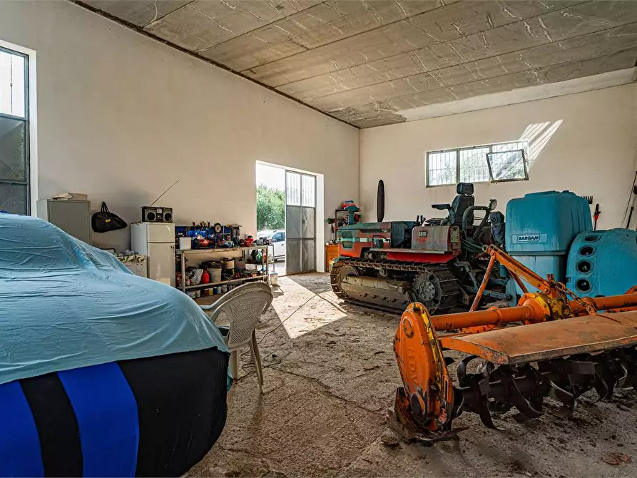 Immagine 18 di Azienda agricola in vendita  in Località Colonia Elisabetta a Tarquinia