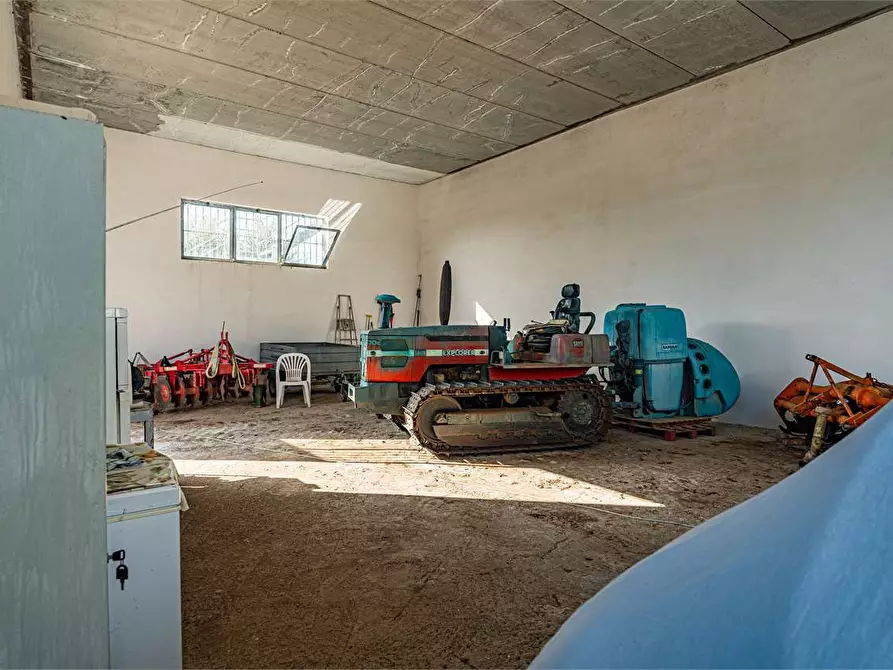 Immagine 19 di Azienda agricola in vendita  in Località Colonia Elisabetta a Tarquinia