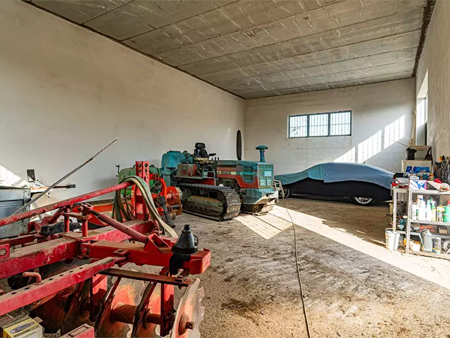Immagine 20 di Azienda agricola in vendita  in Località Colonia Elisabetta a Tarquinia
