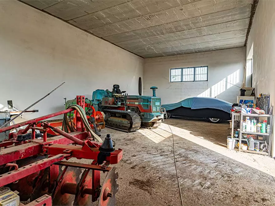 Immagine 21 di Azienda agricola in vendita  in Località Colonia Elisabetta a Tarquinia