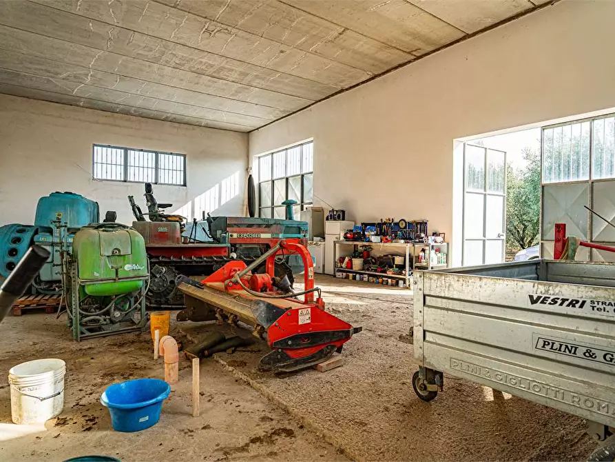 Immagine 22 di Azienda agricola in vendita  in Località Colonia Elisabetta a Tarquinia