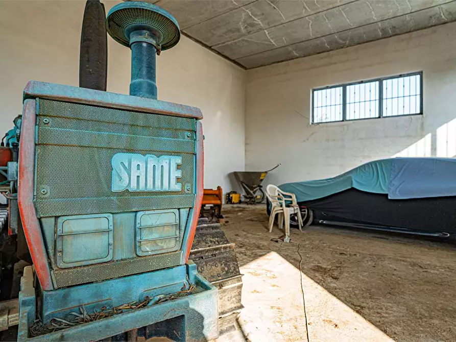 Immagine 23 di Azienda agricola in vendita  in Località Colonia Elisabetta a Tarquinia