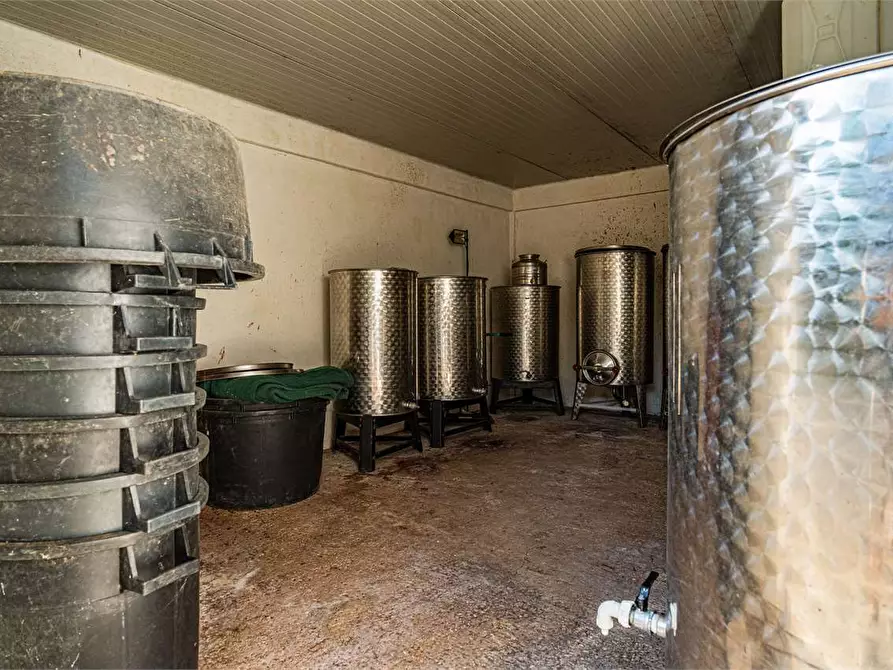 Immagine 25 di Azienda agricola in vendita  in Località Colonia Elisabetta a Tarquinia
