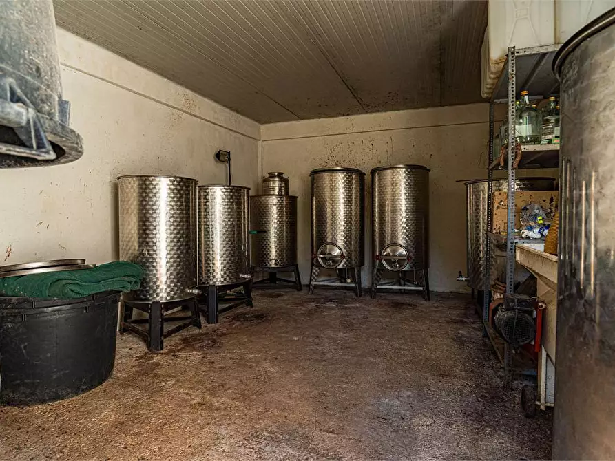Immagine 26 di Azienda agricola in vendita  in Località Colonia Elisabetta a Tarquinia