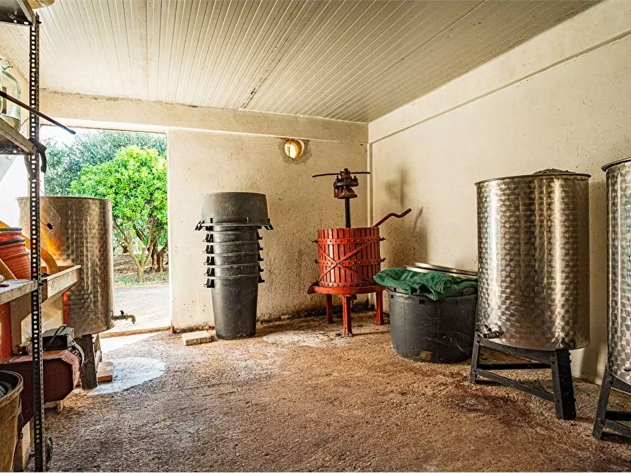 Immagine 27 di Azienda agricola in vendita  in Località Colonia Elisabetta a Tarquinia