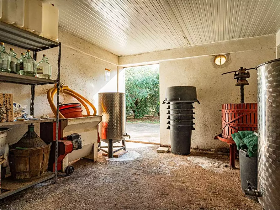 Immagine 28 di Azienda agricola in vendita  in Località Colonia Elisabetta a Tarquinia