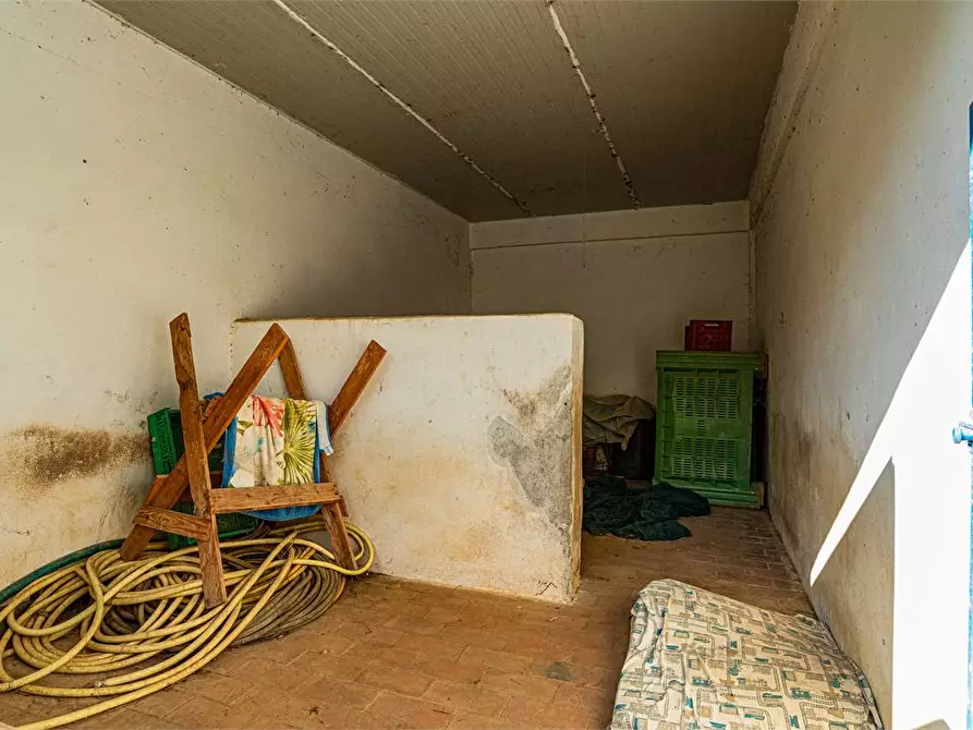 Immagine 30 di Azienda agricola in vendita  in Località Colonia Elisabetta a Tarquinia