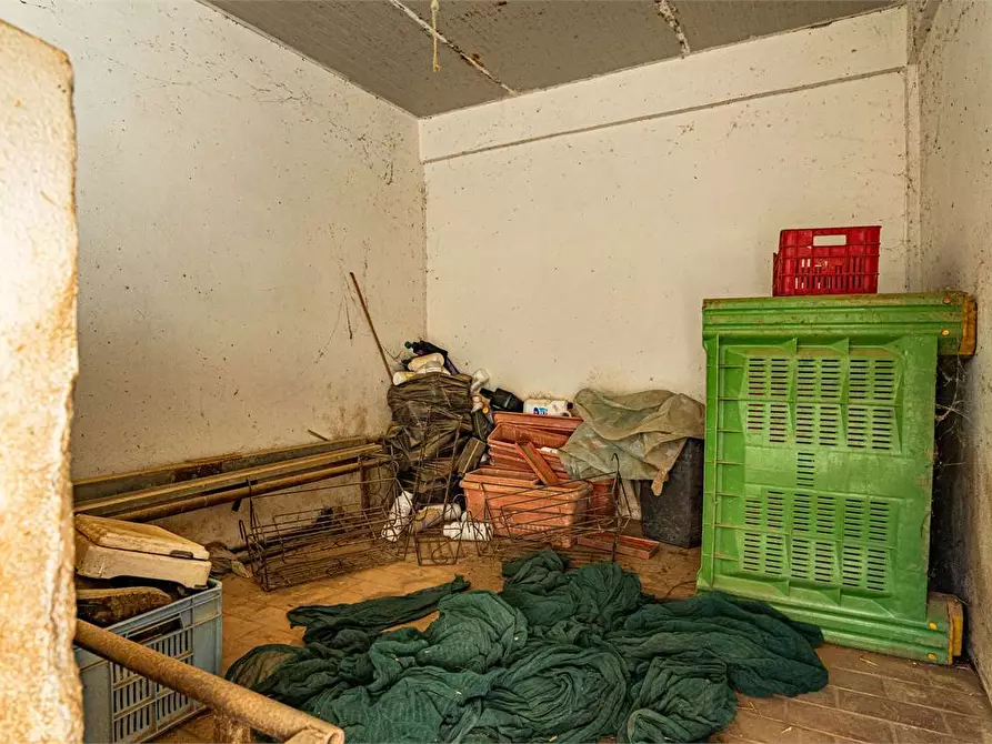 Immagine 31 di Azienda agricola in vendita  in Località Colonia Elisabetta a Tarquinia