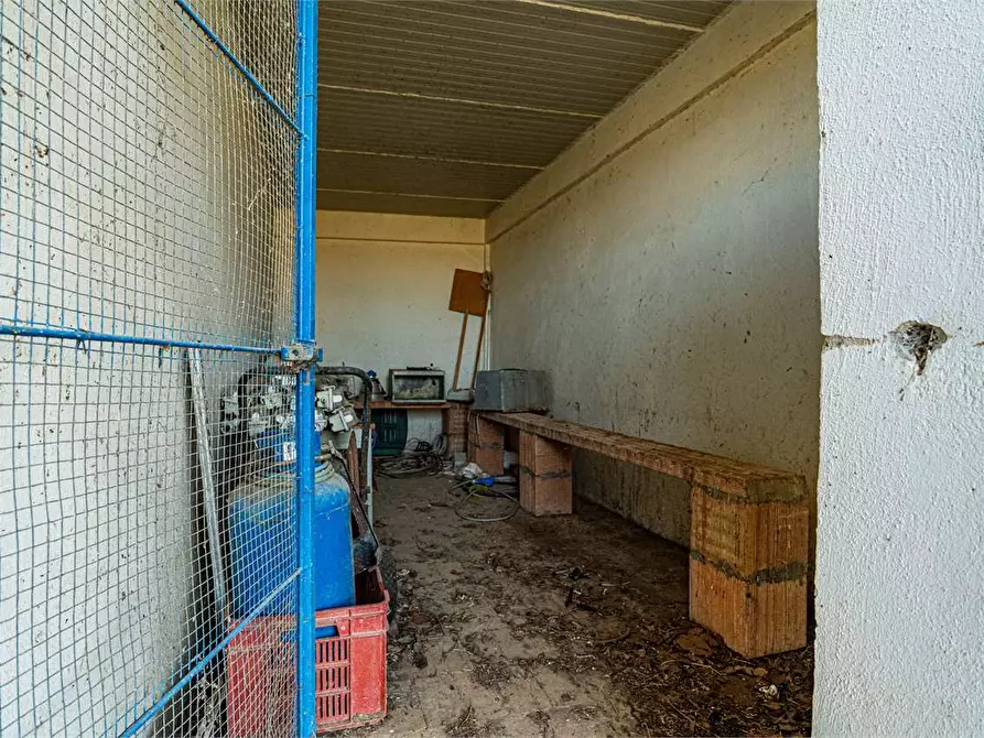 Immagine 33 di Azienda agricola in vendita  in Località Colonia Elisabetta a Tarquinia