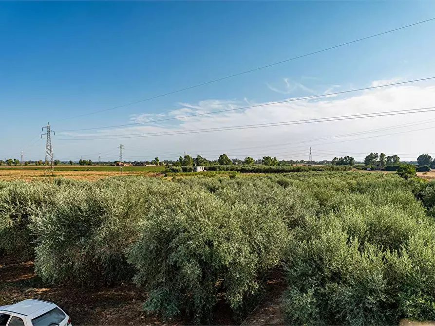 Immagine 34 di Azienda agricola in vendita  in Località Colonia Elisabetta a Tarquinia