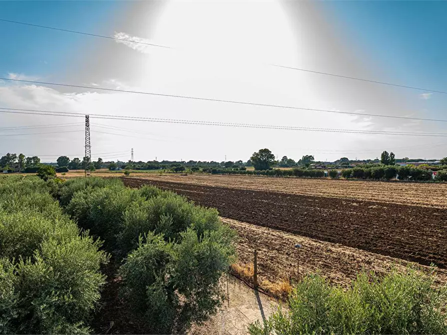Immagine 35 di Azienda agricola in vendita  in Località Colonia Elisabetta a Tarquinia