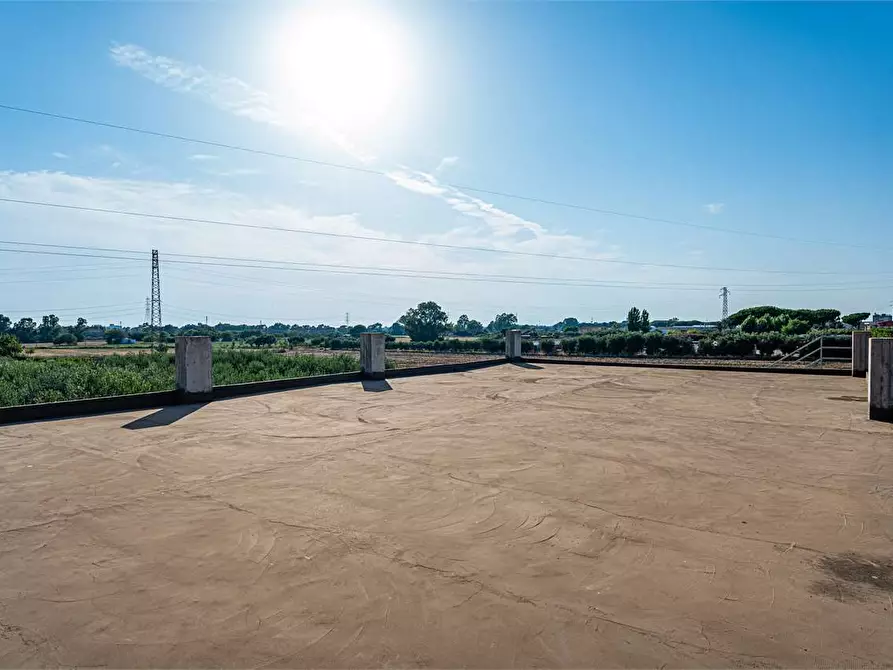 Immagine 39 di Azienda agricola in vendita  in Località Colonia Elisabetta a Tarquinia