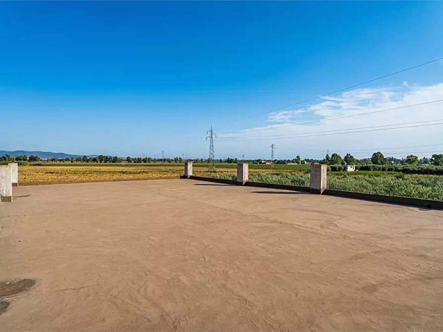Immagine 40 di Azienda agricola in vendita  in Località Colonia Elisabetta a Tarquinia