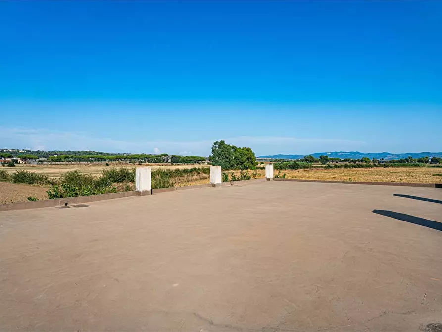 Immagine 41 di Azienda agricola in vendita  in Località Colonia Elisabetta a Tarquinia