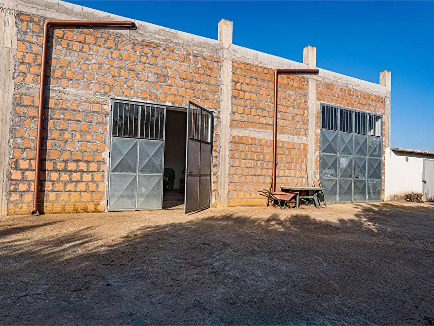 Immagine 45 di Azienda agricola in vendita  in Località Colonia Elisabetta a Tarquinia