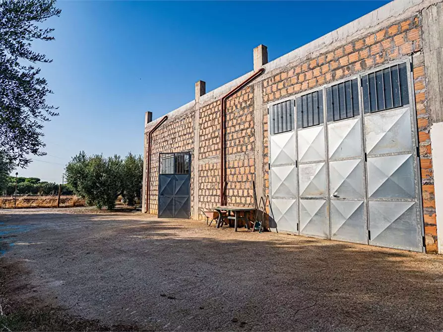 Immagine 46 di Azienda agricola in vendita  in Località Colonia Elisabetta a Tarquinia