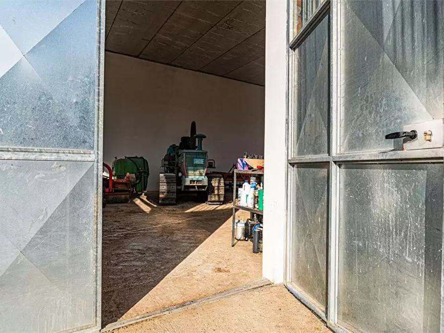 Immagine 47 di Azienda agricola in vendita  in Località Colonia Elisabetta a Tarquinia