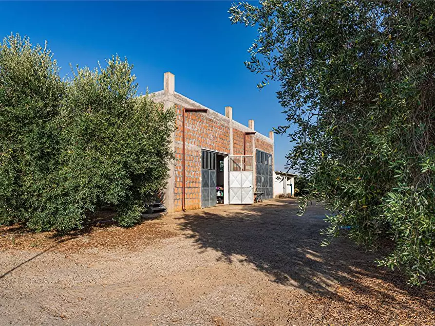 Immagine 48 di Azienda agricola in vendita  in Località Colonia Elisabetta a Tarquinia