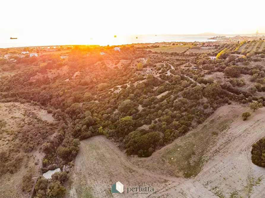 Immagine 1 di Terreno agricolo in vendita  a Civitavecchia