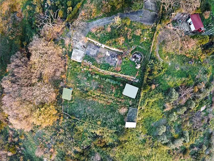Immagine 13 di Terreno agricolo in vendita  in Ficoncella a Civitavecchia