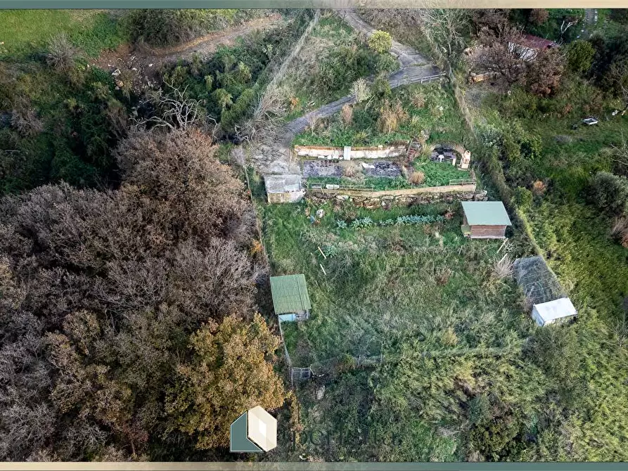 Immagine 16 di Terreno agricolo in vendita  in Ficoncella a Civitavecchia