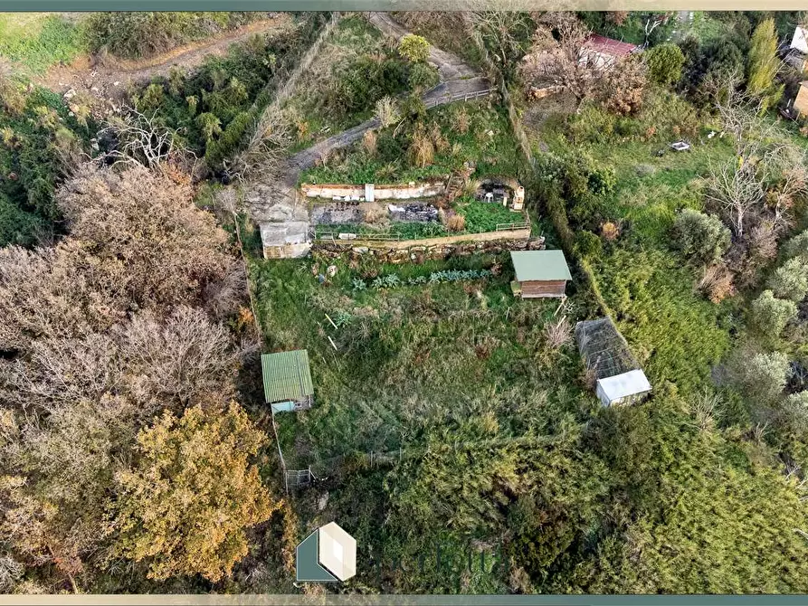 Immagine 7 di Terreno agricolo in vendita  in Ficoncella a Civitavecchia