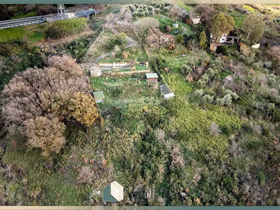 Immagine 9 di Terreno agricolo in vendita  in Ficoncella a Civitavecchia