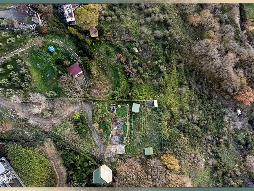 Immagine 6 di Terreno agricolo in vendita  in Ficoncella a Civitavecchia