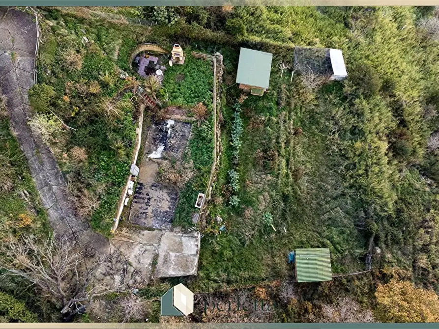 Immagine 10 di Terreno agricolo in vendita  in Ficoncella a Civitavecchia