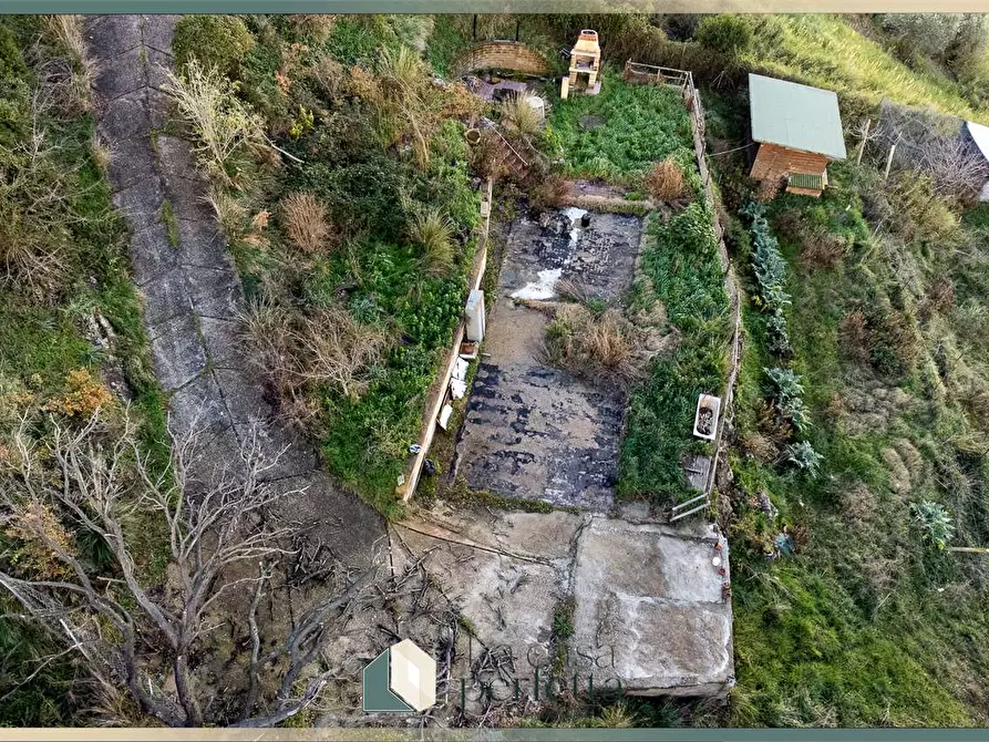 Immagine 11 di Terreno agricolo in vendita  in Ficoncella a Civitavecchia