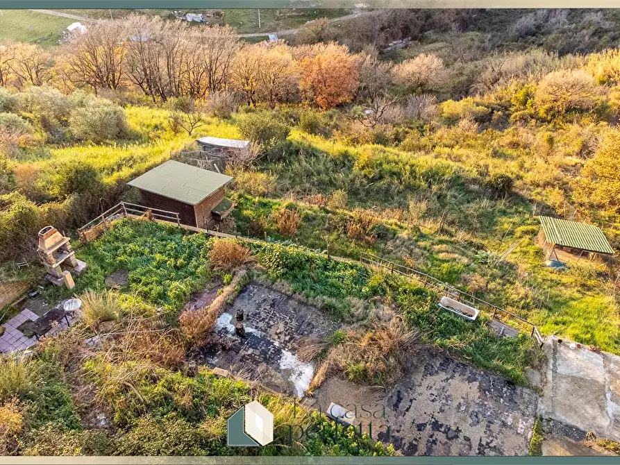 Immagine 2 di Terreno agricolo in vendita  in Ficoncella a Civitavecchia