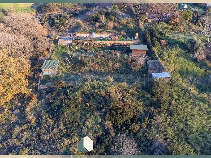 Immagine 19 di Terreno agricolo in vendita  in Ficoncella a Civitavecchia