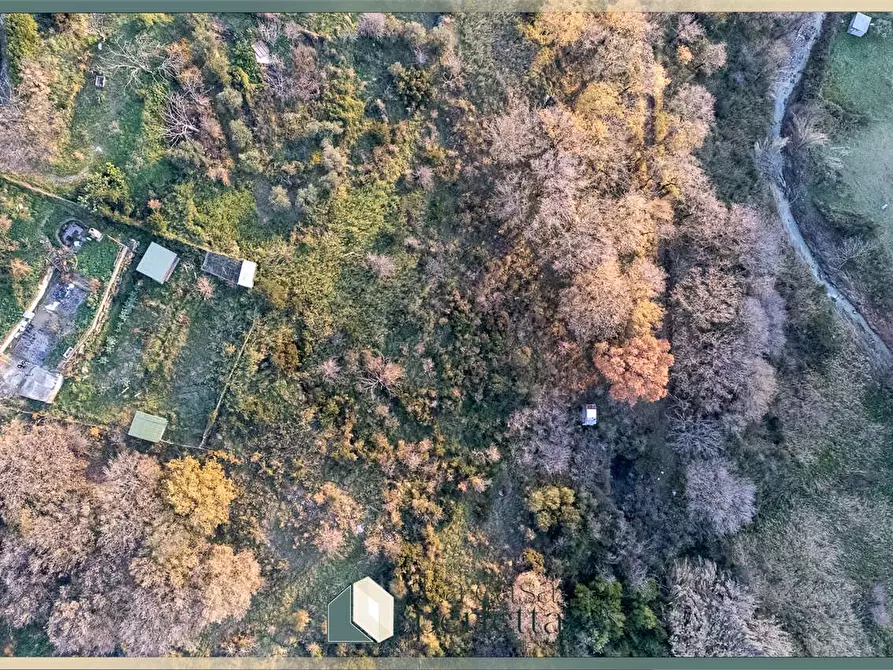 Immagine 14 di Terreno agricolo in vendita  in Ficoncella a Civitavecchia