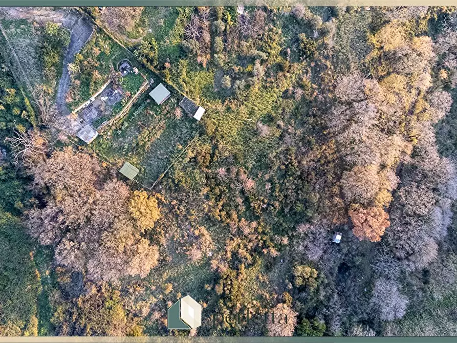 Immagine 21 di Terreno agricolo in vendita  in Ficoncella a Civitavecchia