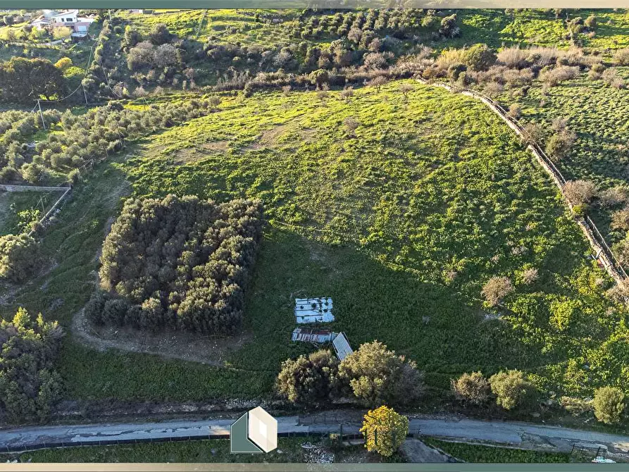 Immagine 11 di Terreno agricolo in vendita  in Via del Casaletto Rosso  a Civitavecchia