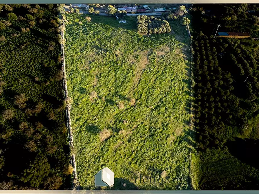 Immagine 10 di Terreno agricolo in vendita  in Via del Casaletto Rosso  a Civitavecchia