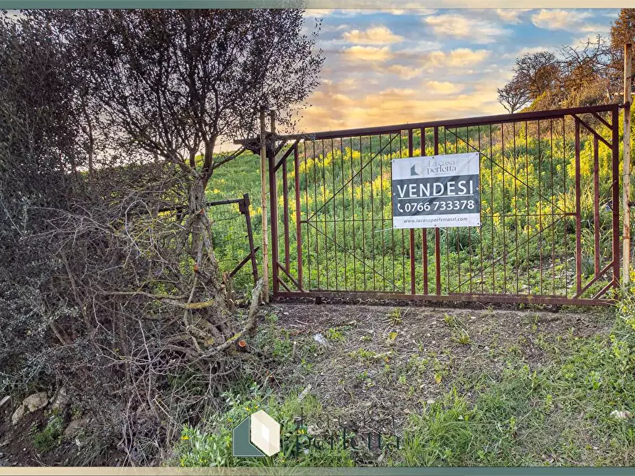 Immagine 6 di Terreno agricolo in vendita  in Via del Casaletto Rosso  a Civitavecchia