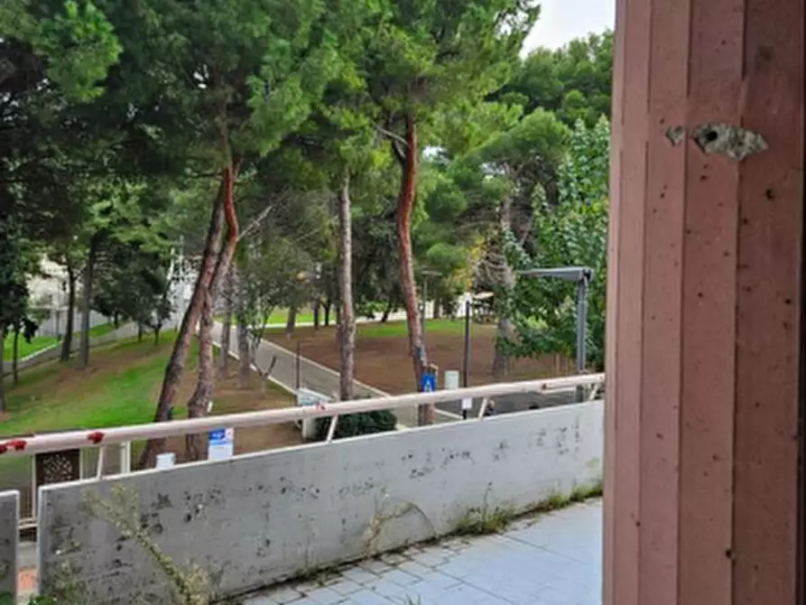 Immagine 19 di Appartamento in vendita  in Via dello Sport, 1, 66050 San Salvo CH, Italia a San Salvo